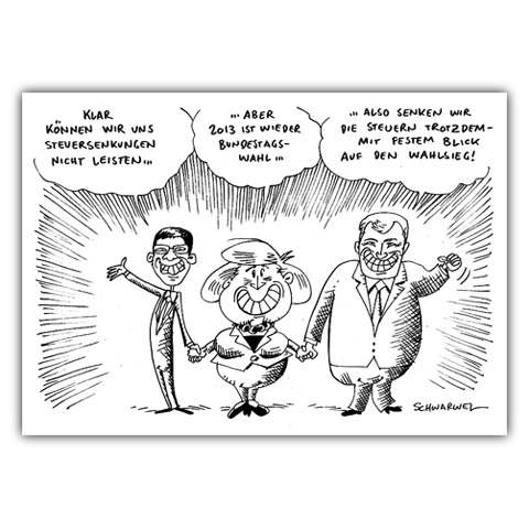Karikatur "Steuersenkungen 2013"