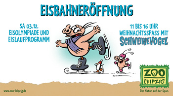 EISBAHNERÖFFNUNG IM ZOO LEIPZIG MIT SCHWEINEVOGEL SA 03.12.