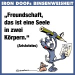 id-binse3a-01022013