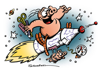 ansicht-zfl-raketenschwein350
